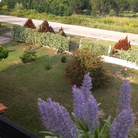 Athina Vourvourou Apartments ภายนอก รูปภาพ